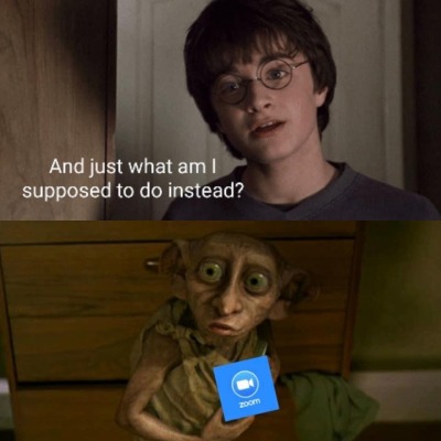 badsciencejokes:You’re in a Zoom meeting, Harry 