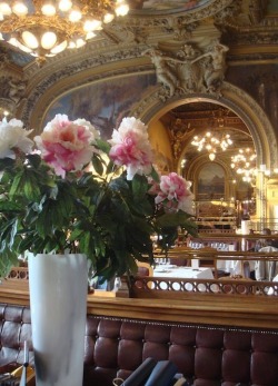 audreylovesparis:  Pink roses, Le Train Bleu’