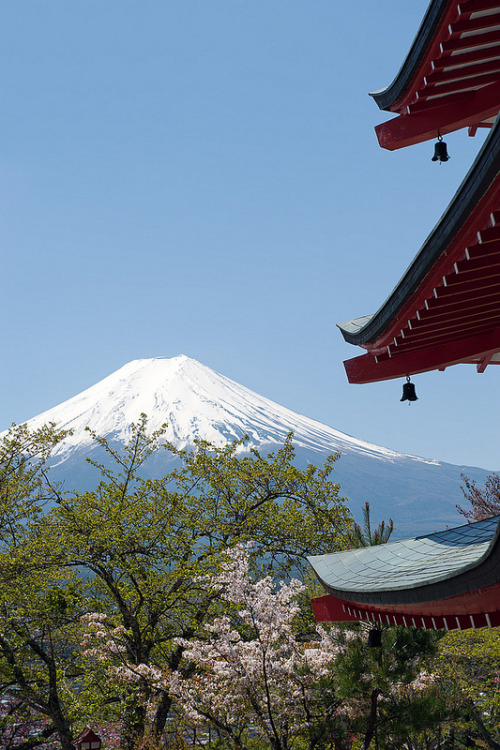 intothegreatunknown: Fuji Five Lakes