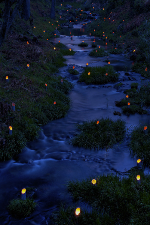 Bamboo Light Festival in Kouzuke, Nachikatsuura