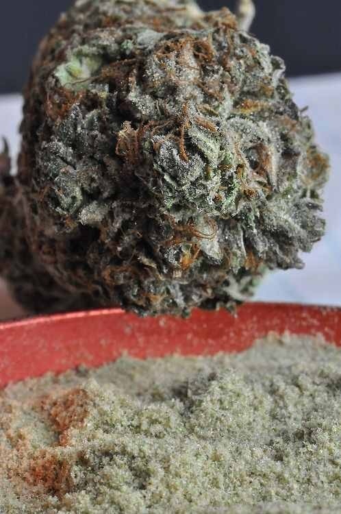 Stoner Libertarian