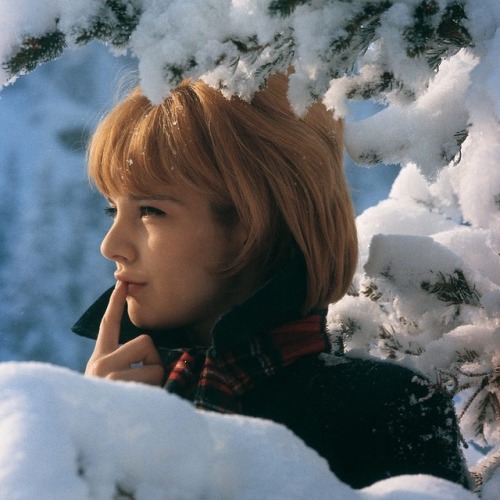  Sylvie Vartan photographiée par Jean-Marie Périer. 