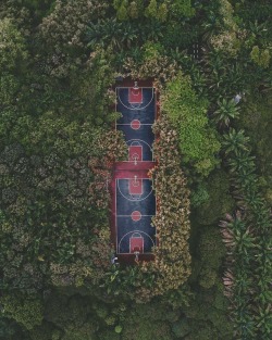 wanderloco:  Jungle of Shenzhen 🏀  Shenzhen 🇨🇳 |  4_23    