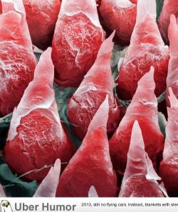 omg-pictures:  A microscopic image of a human tonguehttp://omg-pictures.tumblr.com