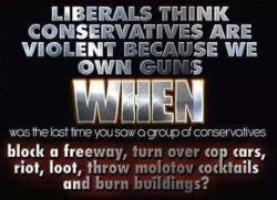 totallyadult: guns-and-humor:  Never heard of a conservative doing mass shootings!! Only the mentally ill democrats are doing it for the democratic party’s Resist movement.  Ain’t that the truth  