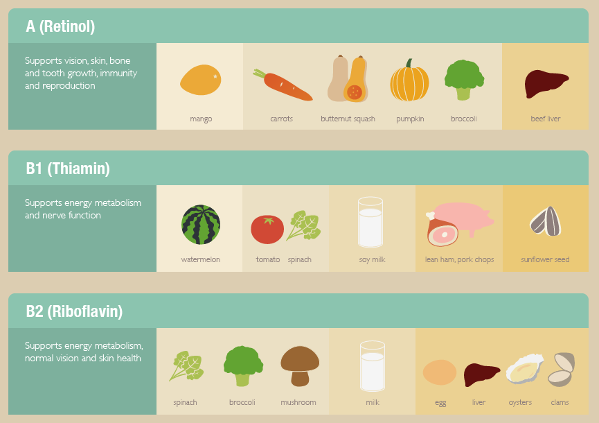 the-more-u-know:  Every nutritious food contains vitamins, but certain foods are