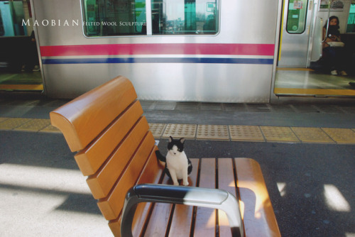 Last December I took my needle felted cat to travel to Tokyo.(part. 2)Before Natsume Soseki’s(夏目漱石) 