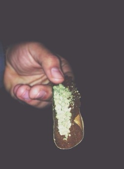 Blunt