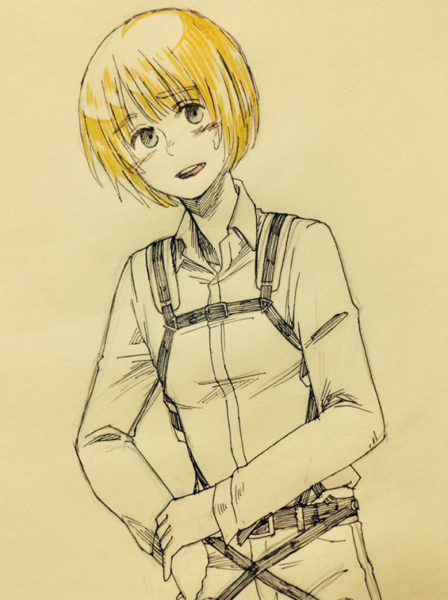 eremin-priestess:    らくがきアルミン詰め by 秋桜  [do NOT remove the