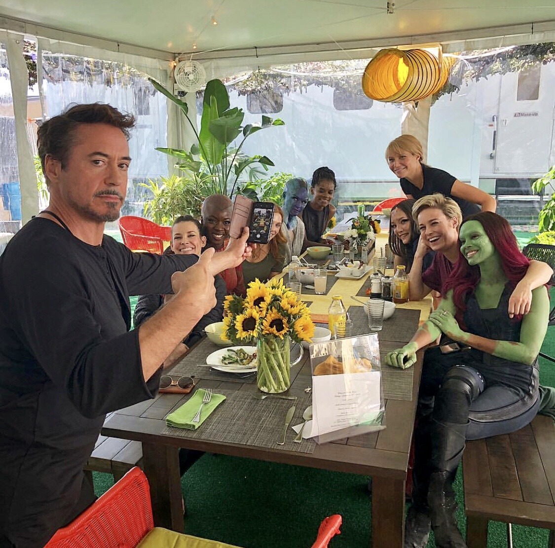 rogerss:  the women of marvel feat. robert downey jr 