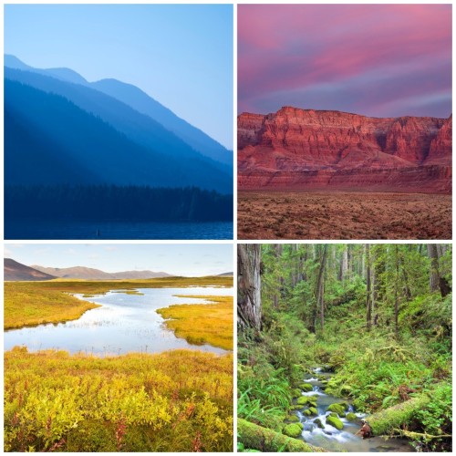 On Indigenous Peoples’ Day, We Celebrate The Cultures And History Of Indigenous, Native, And Tribal