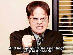 scrantonpaper: Dwight, Jim wants you to keep it down.