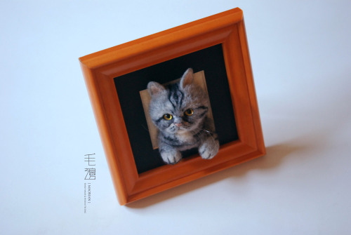 ▋ Exotic Shorthair ( custom-made )Pet Portrait  Frame is approximately 17 x 17 cm 