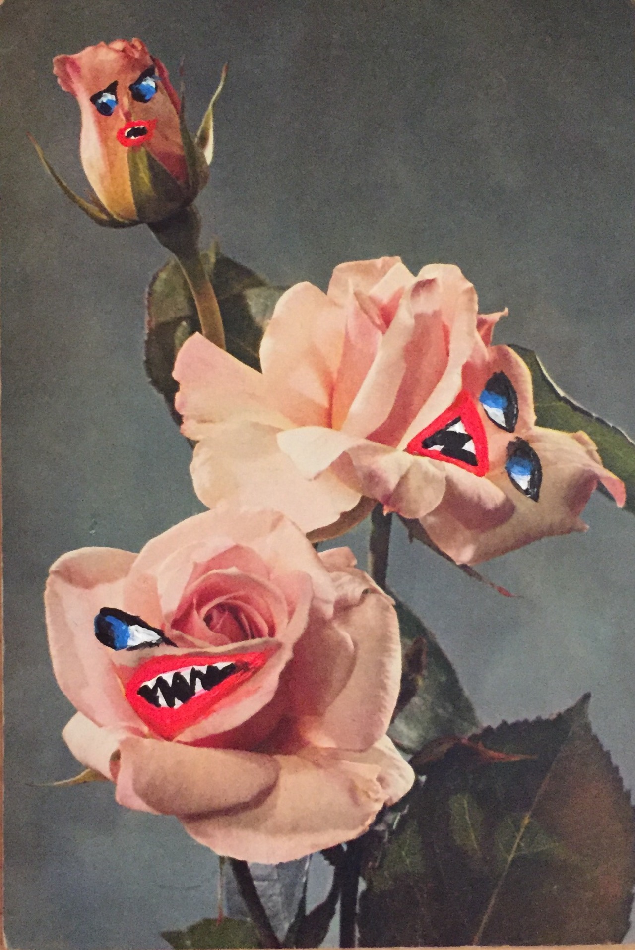 ghostphotographs:  The Angry Roses, 2 of …  by Angela Deane 