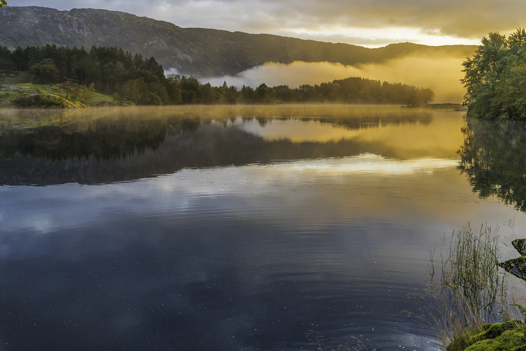 photosofnorwaycom:  The golden morning fog! by Vidar Lennart Fredheim  http://ift.tt/2x27Yka