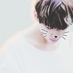 taekitty icons+twitter header // requested by anonif using/saving, please reblog for credit!cr. (x) 