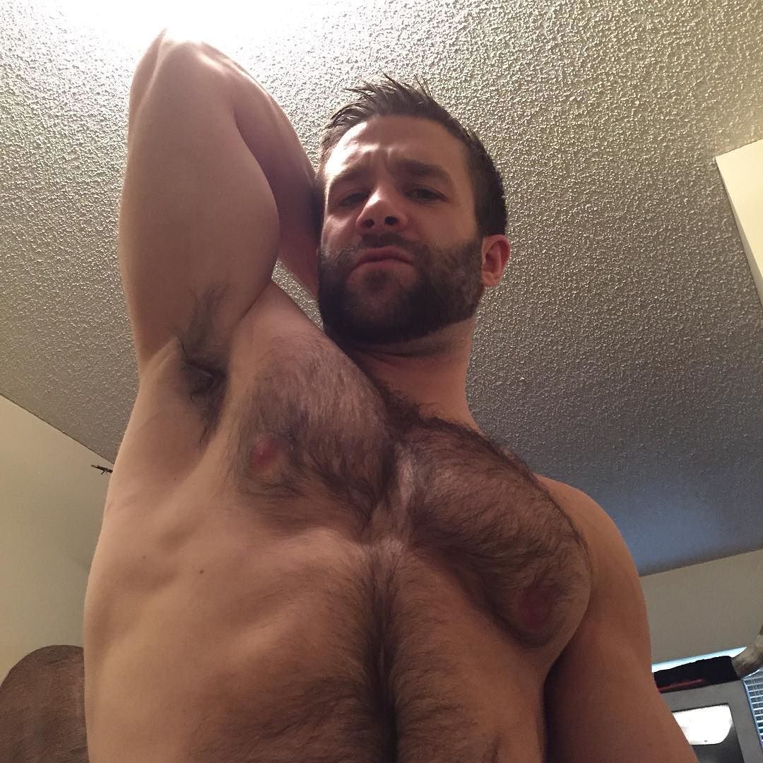 Dads, Bears, & Studs