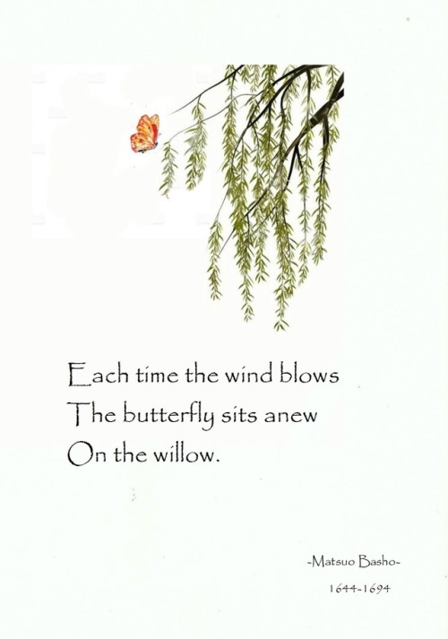 terracemuse:On the willow.  (Matsuo Basho  1644-1694)