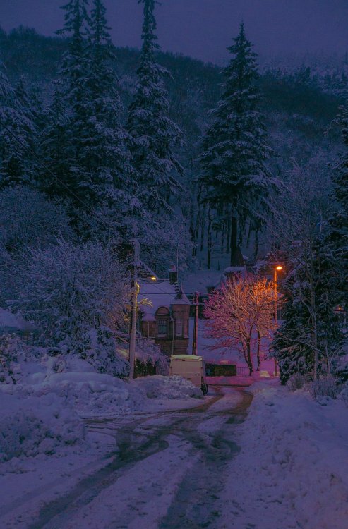 redlipstickresurrected:Mind Wanders aka Connor Muskett (Scottish) - A Cold Winters Night, 2020, Photography