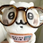 qyuscute