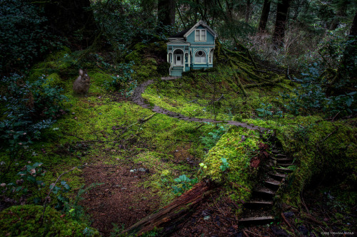 quiet-nymph:  Photography  by kgsix on Flickr 