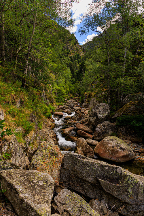 nature-hiking:  Forest stream 26-30/? - 26: Bohusleden, Sweden, April 202027:  Tour du Mont Blanc, June 2019  28:    Brabantse Vennenpad, The Netherlands, December 2020  29 & 30:  Haute Route Pyreneenne, August 2019  photo by nature-hiking