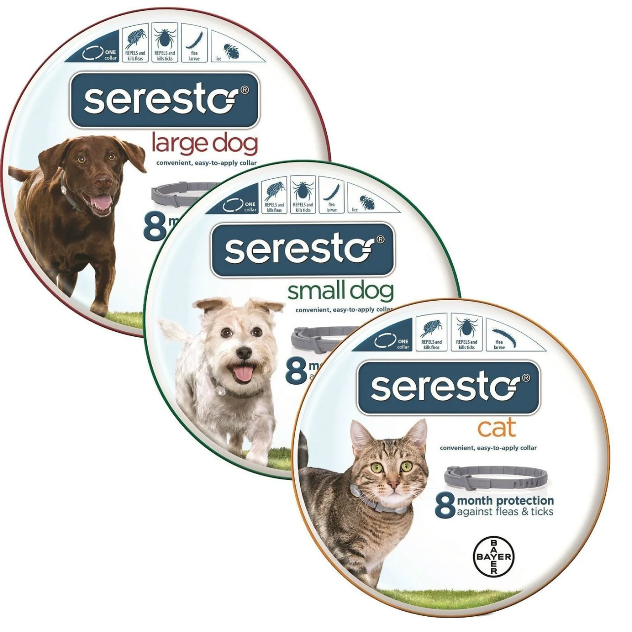 ask-a-vetblr-is-it-true-the-seresto-flea-collars-are-causing