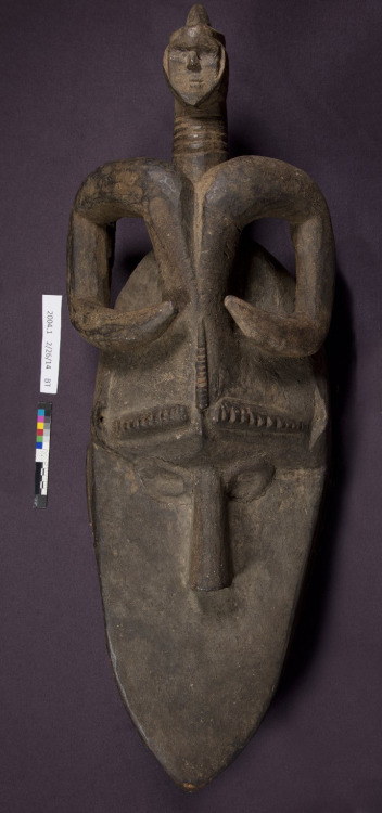Carved from a single piece of wood, this horizontal mask, or Okobuzogui, was made and used by artisa