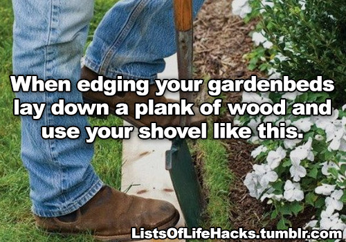 fangirltothefullest: halfdecenthomestucksprites:  falsepalindrome:  resting-dick-face:   listsoflifehacks: Genius Gardening Hacks I do a lot of this shit. The vinegar and baking soda stuff I’ll have to try. You can also use craft paper that they sell