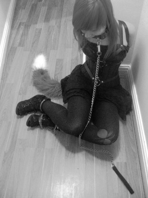 On a Short Leash