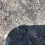 lorrn19-blog