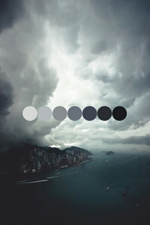 The Neon Meadow