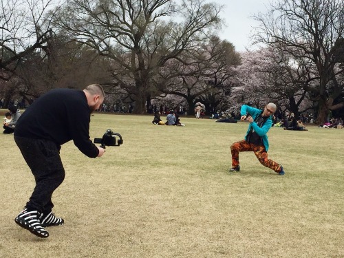 Shooting with Atsushi Matsuda and Hiroshi Hasegawa under the sakura at Shinjuku Gyoen.