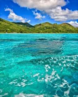 elementsabroadtravel:  Country: Seychelles 🇸🇨 Continent: Africa Location: Praslin Explore more travel destinations