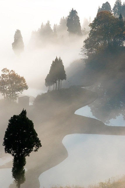 Matsudai, Niigata, Japan.  Photography by Takay on Flickr