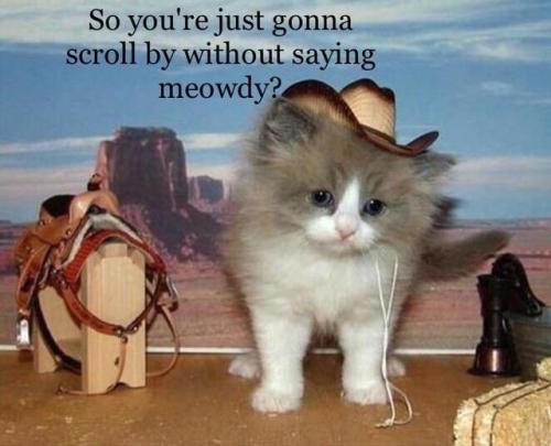 littleprincessfullawuv:Meowdy