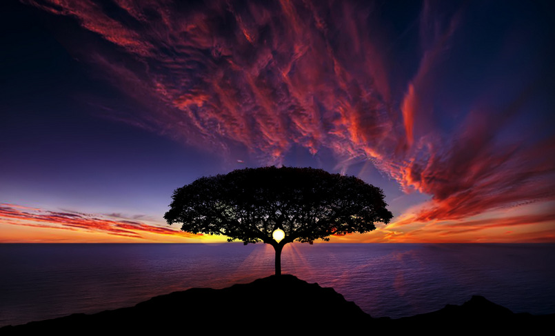 suffocating-sight:“Sunset by Bess Hamiti ”