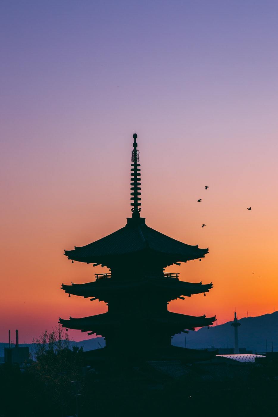 My past week on Japan