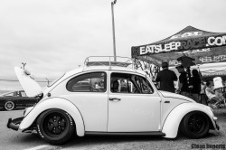radracerblog:TOP 10: VW Beetle