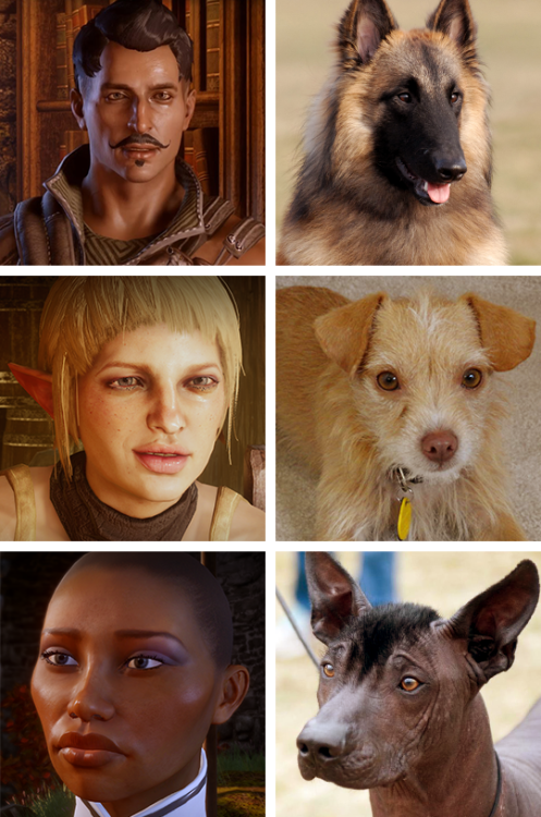 klc-journei: little-black-otter: Added some Inquisition doggos now that I’ve finished the game