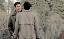 lydiaspeters:  make me choose ➤ shashazzy asked stydia or destiel