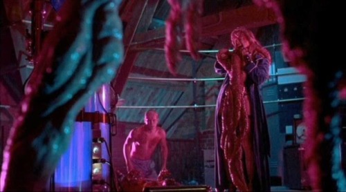 I Need Someone To Study The Correlation Between Bisexual Lighting And Body Horror Movies. Like The Entirety