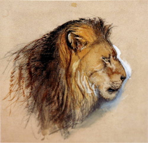 artist-john-ruskin: Lion’s profile from life, 1870, John Ruskinwww.wikiart.org/en/john