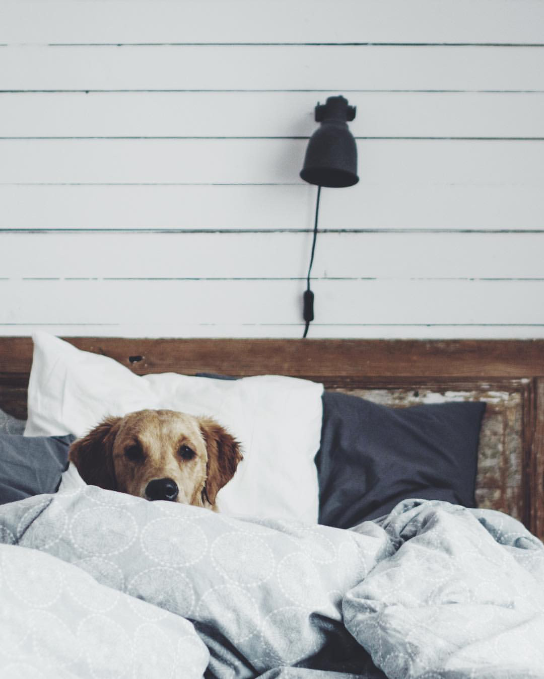 oldfarmhouse:http://instagram.com/angeliqe.nu