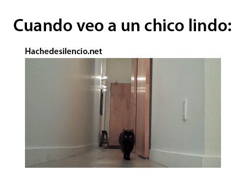 Hache de silencio