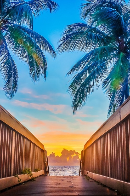 live-in-luxury:  0ce4n-g0d:  Sunrise walkway by Jeff   L I V E - I N - L U X U R Y