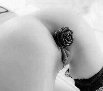 jeanot10:  A Rosey-budd  Sweet