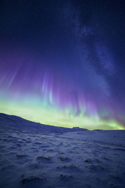 drxgonfly:Northern light (byTor-Ivar Næss)