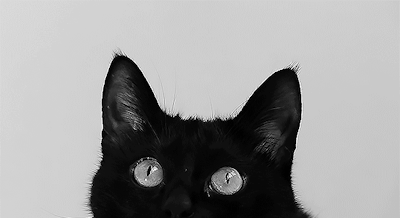crying–is–okay: