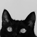 crying–is–okay: